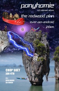 PonyHomie CD Release-upres